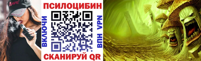 Псилоцибиновые грибы Magic Shrooms  блэк спрут   Искитим 